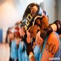 20140614_19-56-53_IMG_6600